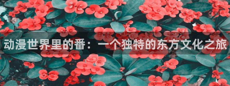 omofun专注动漫官网入口