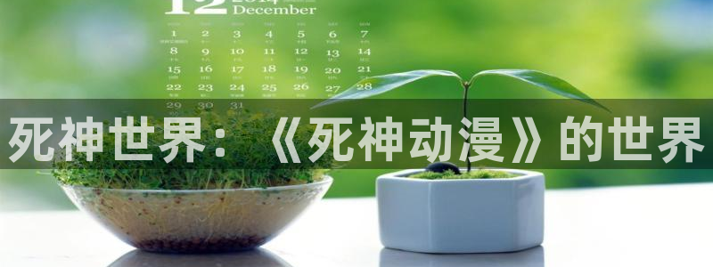 omofun动漫下载官方正版网站：死神世界：《死神动漫》的世界