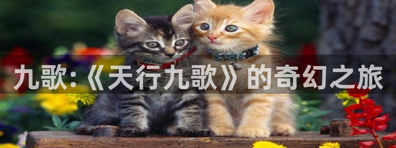 omofun.：九歌:《天行九歌》的奇幻之旅